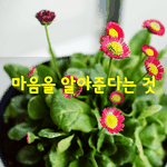 [좋은글] [좋은글] 마음을 알아준다는 것