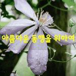 [좋은글] [좋은글] 아름다운 <b>동행</b>을 위하여