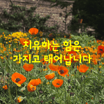 [좋은글] [좋은글] <b>치유</b>하는 힘은 가지고 태어납니다