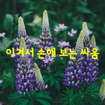 [좋은글] [좋은글]  이겨서 손해 보는 <b>싸움</b>