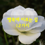 [좋은글] [좋은글] 행복에 이르는 길 12가지
