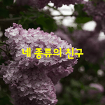 [좋은글] [좋은글] 네 종류의 <b>친구</b>