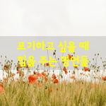 [좋은글] [좋은글] <b>포기</b>하고 싶을 때 힘을 주는 명언들