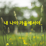 [좋은글] [좋은글] 내 <b>나이</b> 가을에서야..