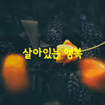 [좋은글] [좋은글] 인생을 너무 잘살아야겠다고 생각하면