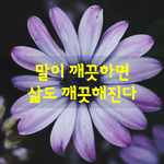 [좋은글] [좋은글] 말이 깨끗하면 삶도 깨끗해진다.