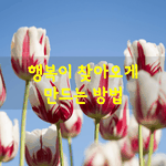 [좋은글] [좋은글] 행복이 찾아오게 만드는 방법