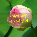 [좋은글] [좋은글]  가족에 관한 15가지 명언