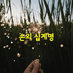 [좋은글] [좋은글] 손의 십계명