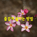 [좋은글] [좋은글]  즐겁게 일하는 방법