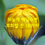 [좋은글] [좋은글]  뒤늦게 깨달으면 후회할 것 10가지