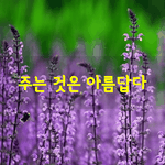 [좋은글] [좋은글] 주는 것은 아름답다