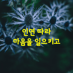 [좋은글] [좋은글] 인연따라 마음을 일으키고