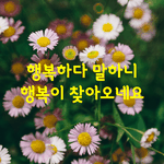 [좋은글] [좋은글] 행복하다 말하니 행복이 찾아오네요