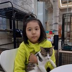 붕어빵 외모 '귀여워'…유기묘 봉사 나선 착한 <b>마음씨</b> [해시태그]