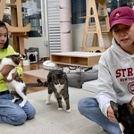 딸 로아, 父 붕어빵 미소로 시선강탈…유기묘 입양 <b>독려</b> ‘훈훈’