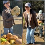 김정난, 54세에 결국 <b>호박</b> 따러 시골로… “호박죽 해먹어야징~”