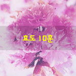 [좋은글] [좋은글] 효도 10훈孝道十訓