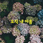 [좋은글] [좋은글] 일어나는 모든 일은