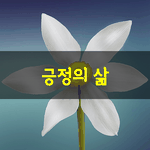 [좋은글] [좋은글] 긍정의 삶