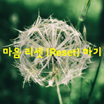 [좋은글] [좋은글] 마음 리셋Reset 하기