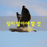 [좋은글] [좋은글] <b>남이</b> 가라고해서 가는것도 아닙니다.