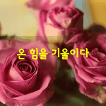 [좋은글] [좋은글] <b>온</b> <b>힘</b>을 기울이다