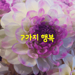 [좋은글] [좋은글] 7가지 행복