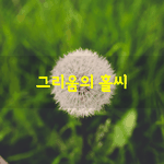 [좋은글] [좋은글] 비가 내리면 추억이 젖어도 좋다