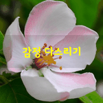 [좋은글] [좋은글] <b>감정</b> 다스리기