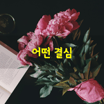 [좋은글] [좋은글] 마음이 많이 아플 때