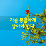 [좋은글] [좋은글] <b>아침</b>에 눈 떠