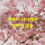 [좋은글] [좋은글] 어차피 지나가면 잊혀질것을