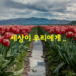 [좋은글] [좋은글] 세상은 좋은 일을 했다고