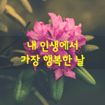 [좋은글] [좋은글] 내 인생에서 가장 행복한 날은 언제인가.