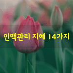 [좋은글] [좋은글] <b>인맥</b>관리 지혜 14가지