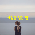 [좋은글] [좋은글] 누군가를 사랑해버리는 일.