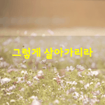 [좋은글] [좋은글] 내가 <b>만일</b> 삶을 다시 살 수 있다면