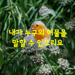 [좋은글] [좋은글] <b>허물</b>