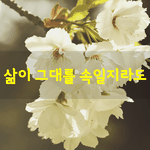 [좋은글] [좋은글] 삶이 그대를 속일지라도