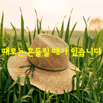 [좋은글] [좋은글] 때로는 흔들릴 때가 있습니다.