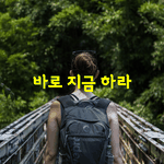 [좋은글] [좋은글] 바로 지금 하라