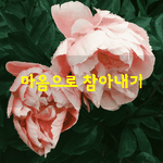 [좋은글] [좋은글] 마음으로 참아<b>내기</b>
