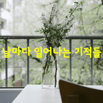 [좋은글] [좋은글] 날마다 일어나는 기적들