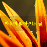 [좋은글] [좋은글] 마음이 맑아 지는 글