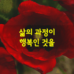 [좋은글] [좋은글] 삶의 <b>과정</b>이 행복인 것을..