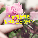 [좋은글] [좋은글] 세상을 살아가면서