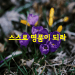 [좋은글] [좋은글] 스스로 <b>명품</b>이 되라.