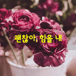 [좋은글] [좋은글] 함께 출발한 네 <b>친구들</b>이