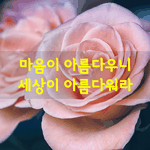 [좋은글] [좋은글] 마음이 아름다우니 세상이 아름다워라 / 이채